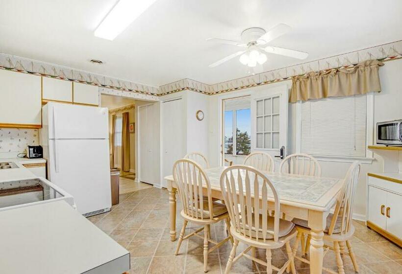 شقة غرفتين, 37534 Lighthouse Rd #202