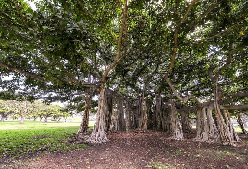 ２ベッドルームアパートメント, Monsarrat Apt. C