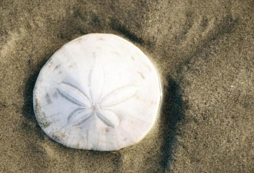 带3个卧室的公寓, Sea Oats