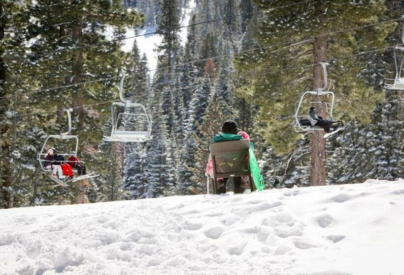 דירת שלושה חדרים, Silverbranch Retreat