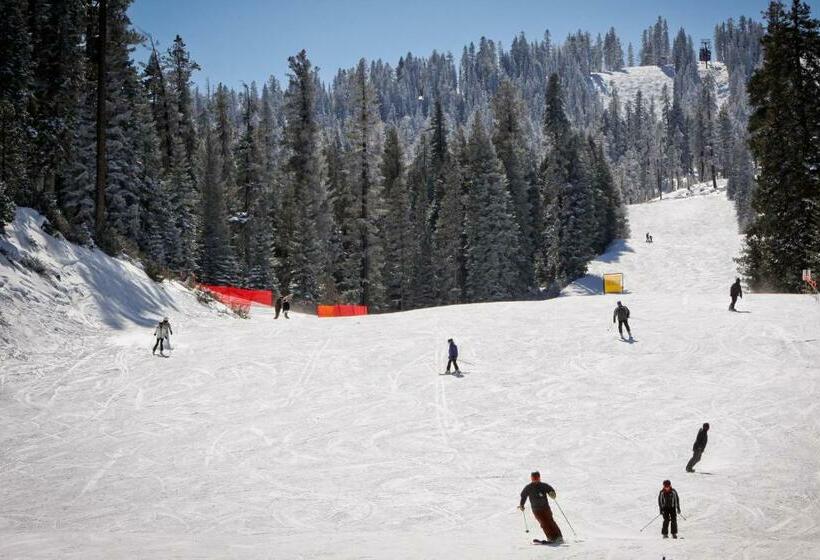 דירת שלושה חדרים, Silverbranch Retreat