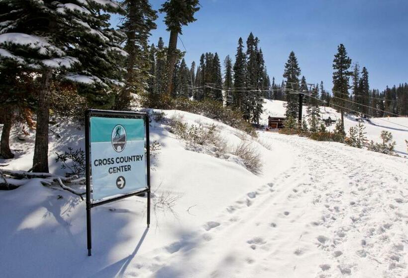 דירת שלושה חדרים, Silverbranch Retreat