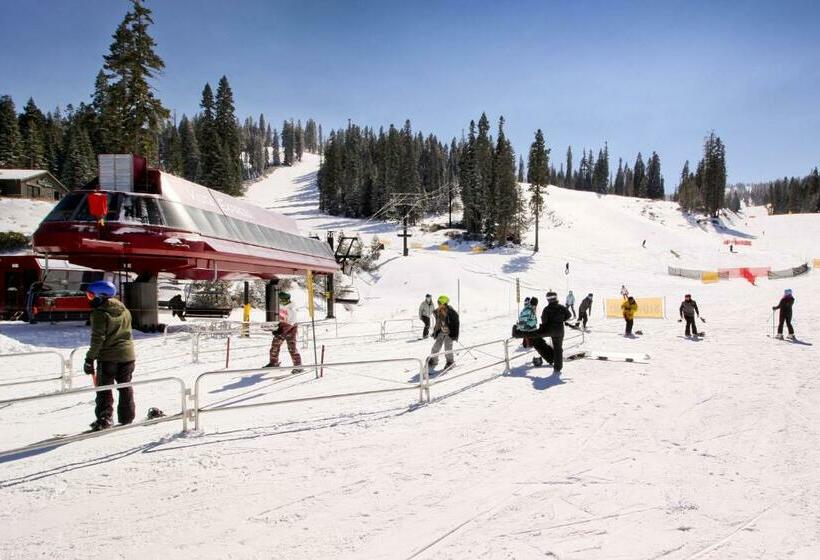 דירת שלושה חדרים, Silverbranch Retreat