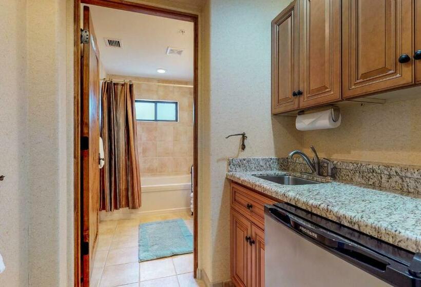 شقة غرفة واحدة, Village At Carefree