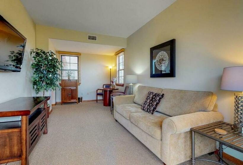 شقة غرفة واحدة, Village At Carefree