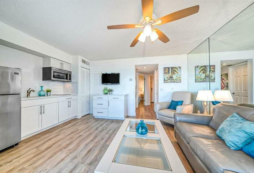 شقة غرفة واحدة, Breezy Belleair 5e