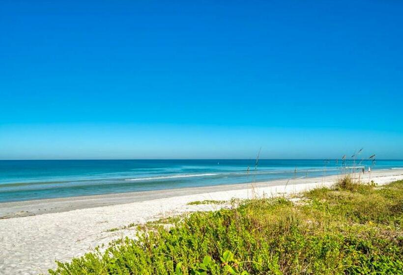 شقة غرفة واحدة, Breezy Belleair 5e