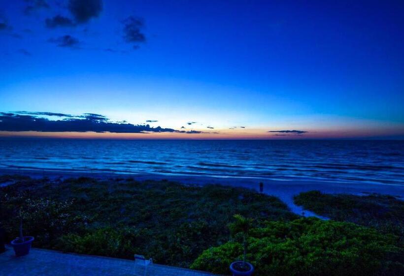 شقة غرفة واحدة, Breezy Belleair 5e