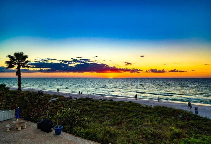 شقة غرفة واحدة, Breezy Belleair 5e