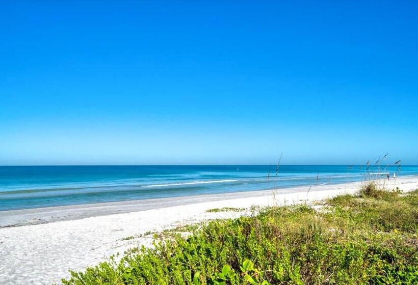 شقة غرفة واحدة, Breezy Belleair 5e