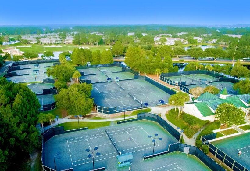 Апартаменты 1 Спальня, Luau 6809