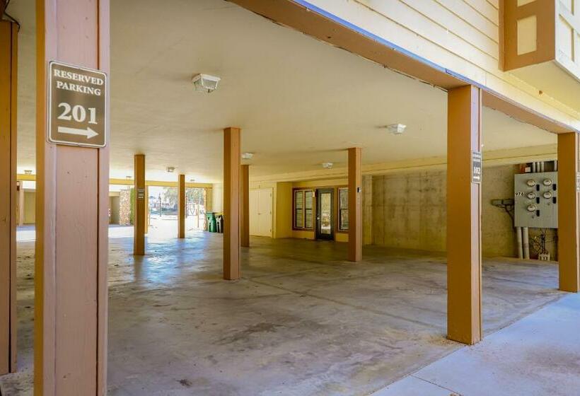 شقة غرفتين, The Bears Den