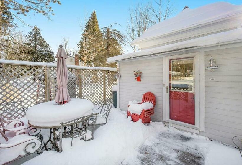 منزل غرفة نوم واحدة, Lake Daze