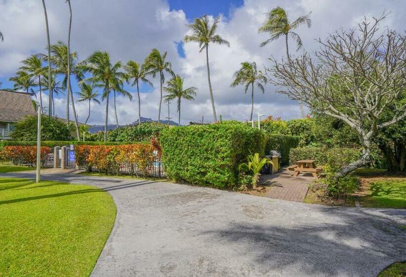 آپارتمان 1 خوابه, Plantation Hale A10