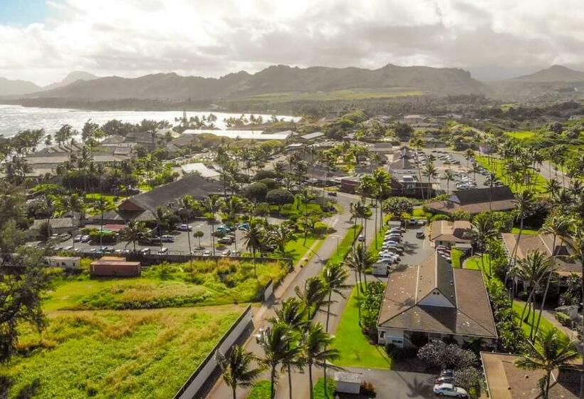 آپارتمان 1 خوابه, Plantation Hale A10