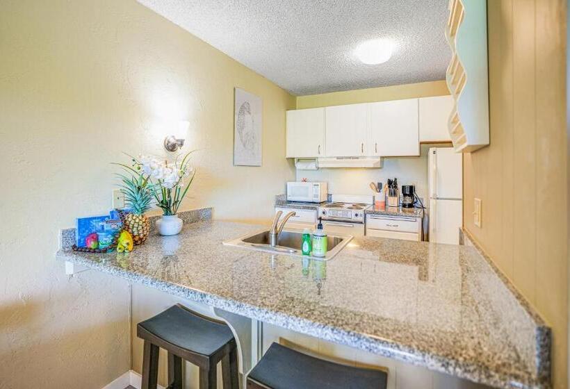 آپارتمان 1 خوابه, Plantation Hale A10