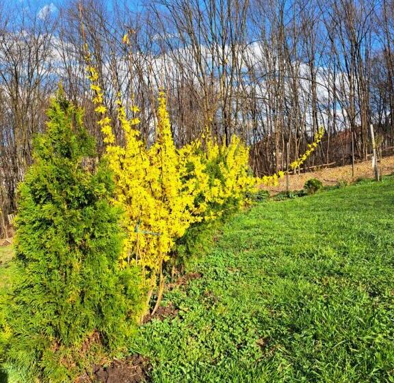 اتاق خانوادگی, Mala Farma Nani