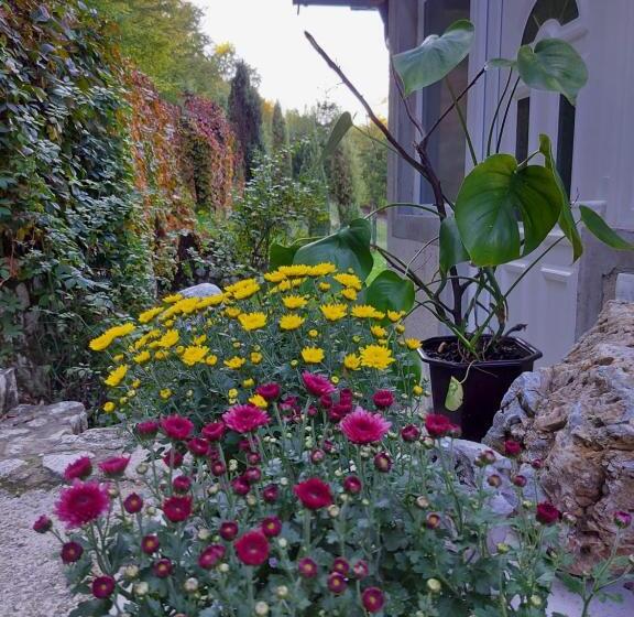 اتاق استاندارد یک نفره, Mala Farma Nani