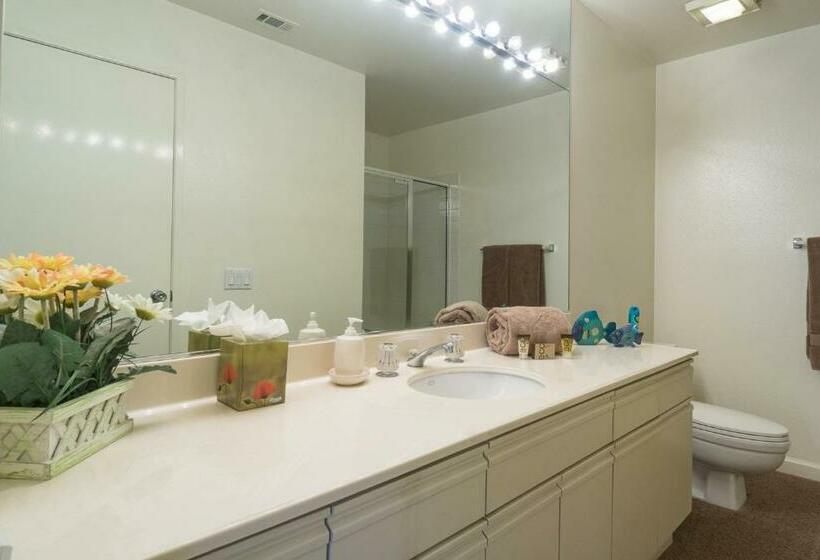 3ベッドルームアパートメント, Shoal Creek Manor Permit# 65270