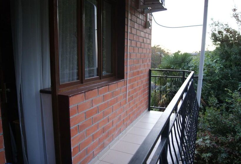 Номер Стандарт, Argo