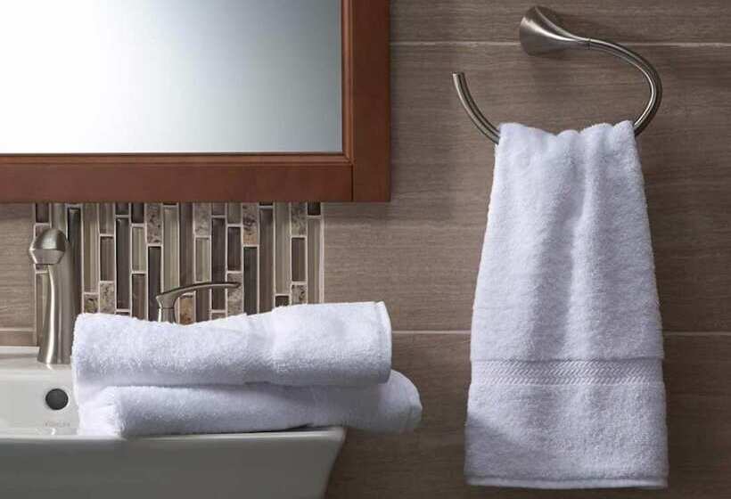 Номер Стандарт Индивидуальный, Argo