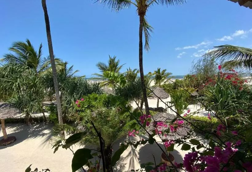 オーシャンビュースタンダードルームバルコニー付き, The Beach B&b