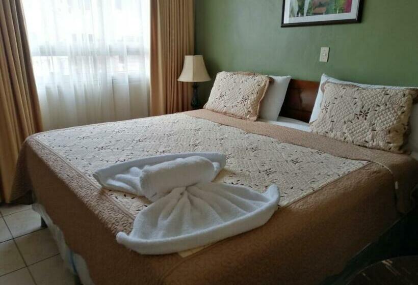 اتاق استاندارد یک نفره, Palace Ejecutivo