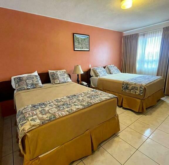 اتاق استاندارد, Palace Ejecutivo