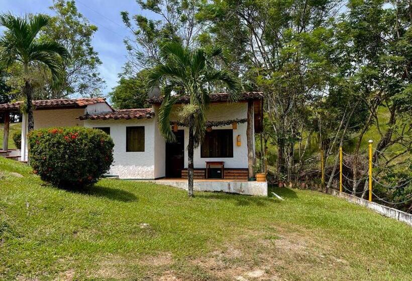 스탠다드 룸, Candilejas