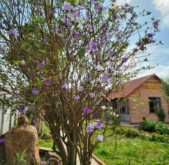 اتاق خانوادگی با چشم‌انداز باغ, T Farmstay Villa And Resort Buon Ma Thuot City
