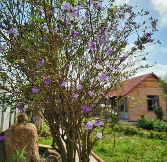 اتاق خانوادگی با چشم‌انداز باغ, T Farmstay Villa And Resort Buon Ma Thuot City