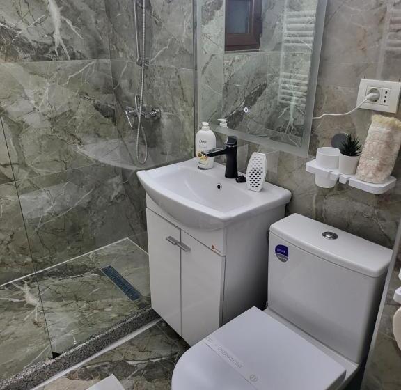 اتاق استاندارد, Soimii Bucovinei Residence