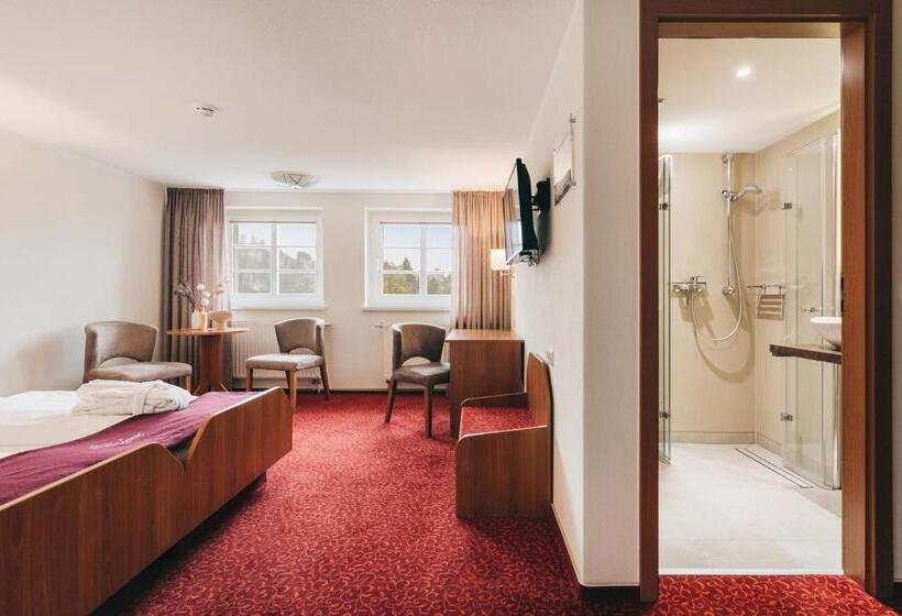 マウンテンビュースタンダードルーム, Laasenhof