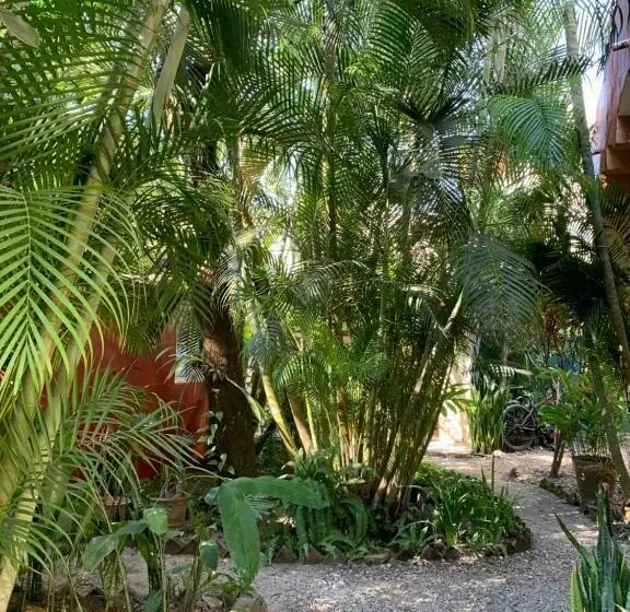 エコノミールーム, Akoma Sayulita