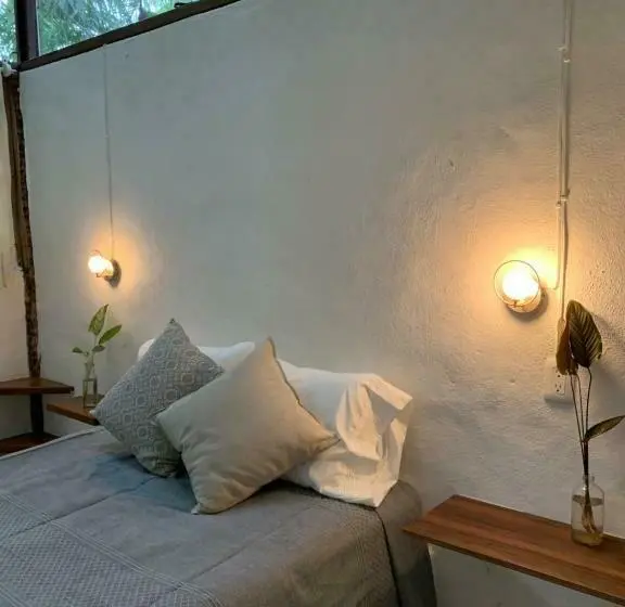 エコノミールーム, Akoma Sayulita