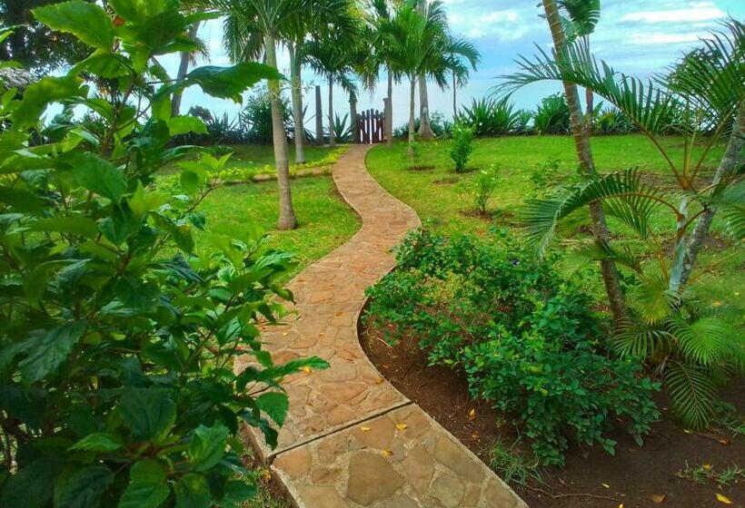 标准间, Villa Colibri