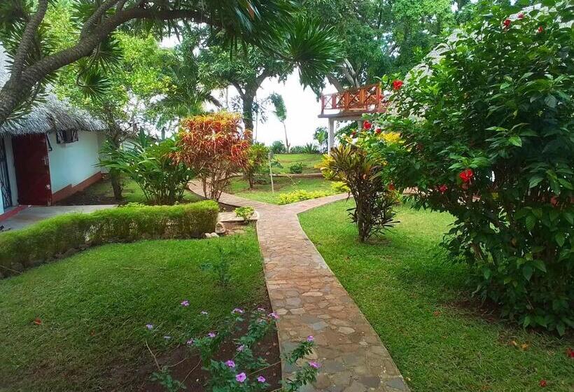 标准间, Villa Colibri