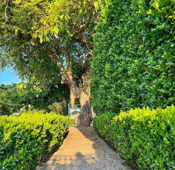 패밀리 룸 가든 전망, Chocolate Orchid