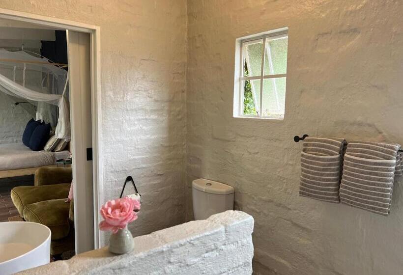 디럭스 룸, Chocolate Orchid