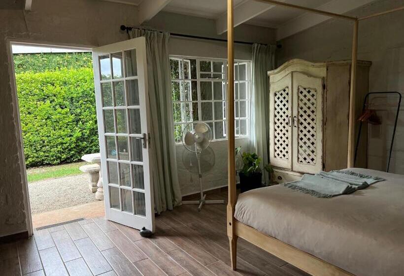 Quarto Deluxe, Chocolate Orchid