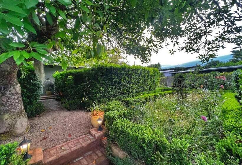 디럭스 룸, Chocolate Orchid