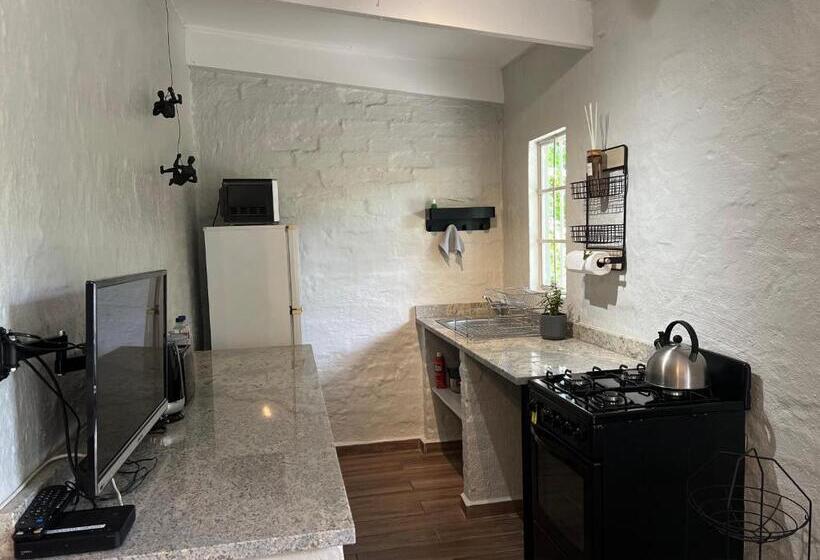 디럭스 룸, Chocolate Orchid