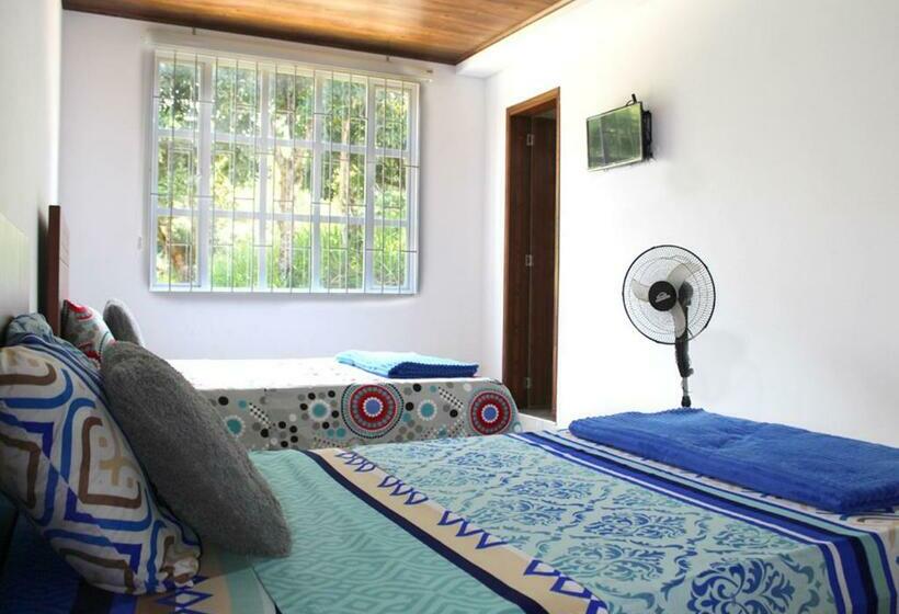 スタンダードルーム, Finca Hotel Villa Gladys En Mesitas Del Colegio