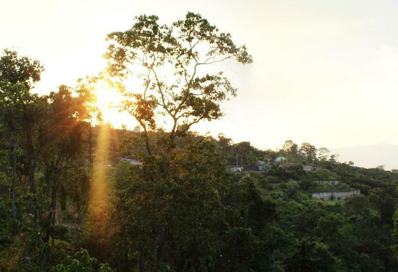 스위트 킹사이즈 침대, Finca Hotel Villa Gladys En Mesitas Del Colegio