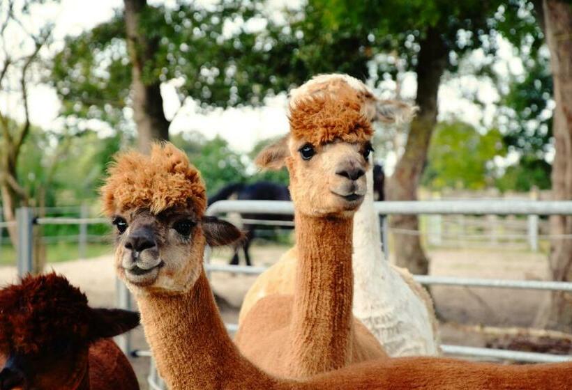 Апартаменты 2 Спальни, Kastanienhof