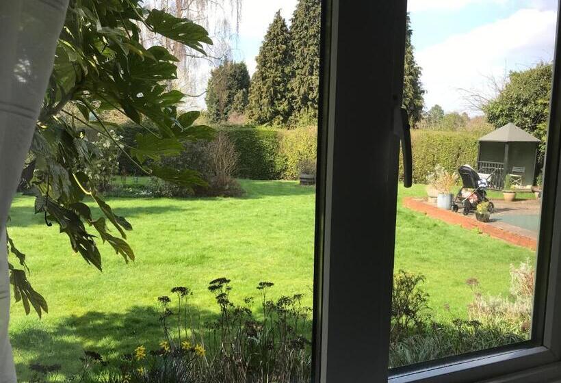 标准单人间, Old Farm