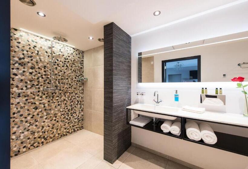 חדר דחוקס עם מיטת קינג, B&b De Maaskei