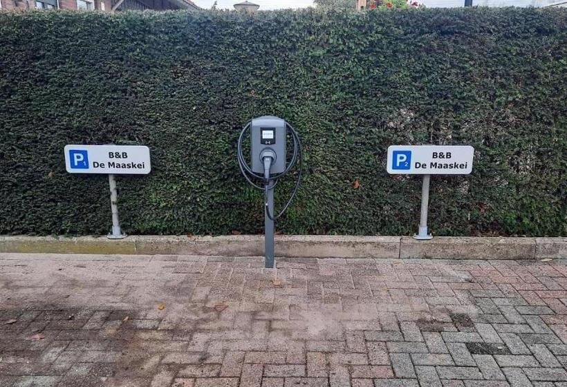 חדר דחוקס עם מיטת קינג, B&b De Maaskei