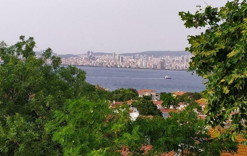 Полулюкс Повышенной Комфортности, Büyükada Anastasia Meziki History Mansion