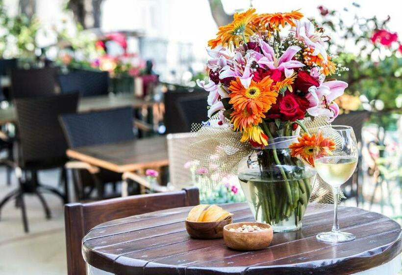 Полулюкс Повышенной Комфортности, Büyükada Anastasia Meziki History Mansion